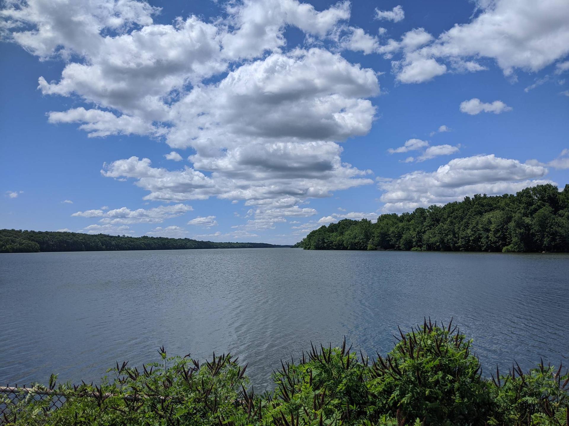 Vast lake surrounded by lush green forests under a bright blue, cloudy sky.