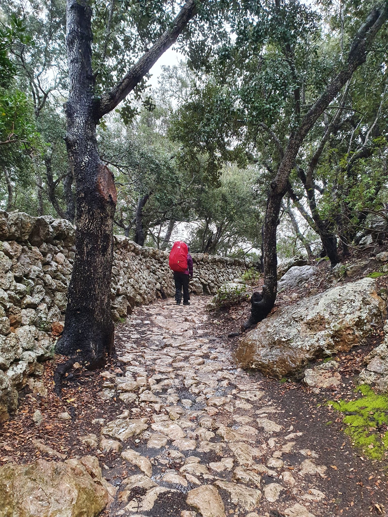 Stoney paths through the Tramuntana Mountains – Ruta de Pedra en Sec ...