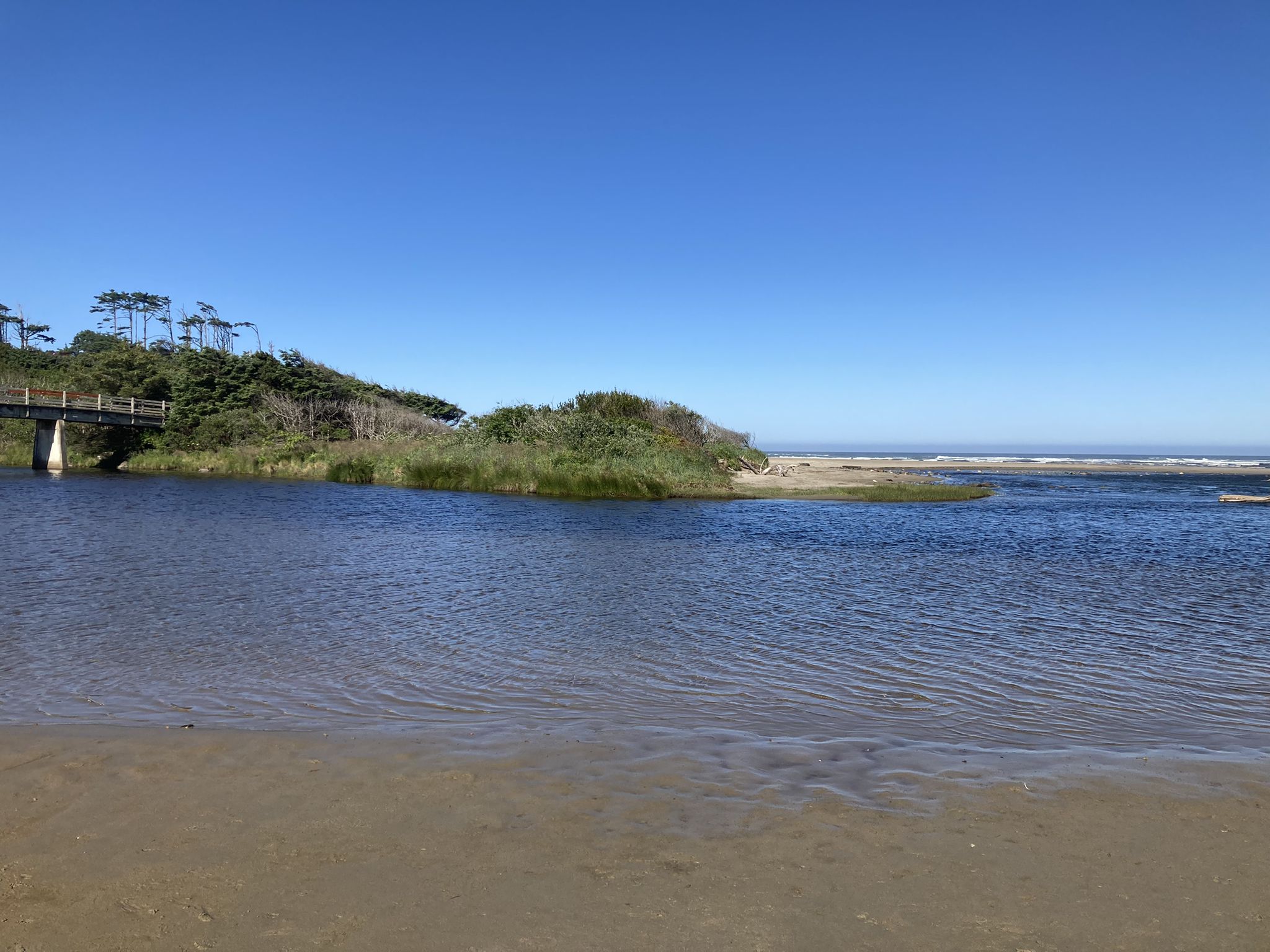 A wide river flows into the ocean under a clear blue sky. - Corvallis to the Sea Trail