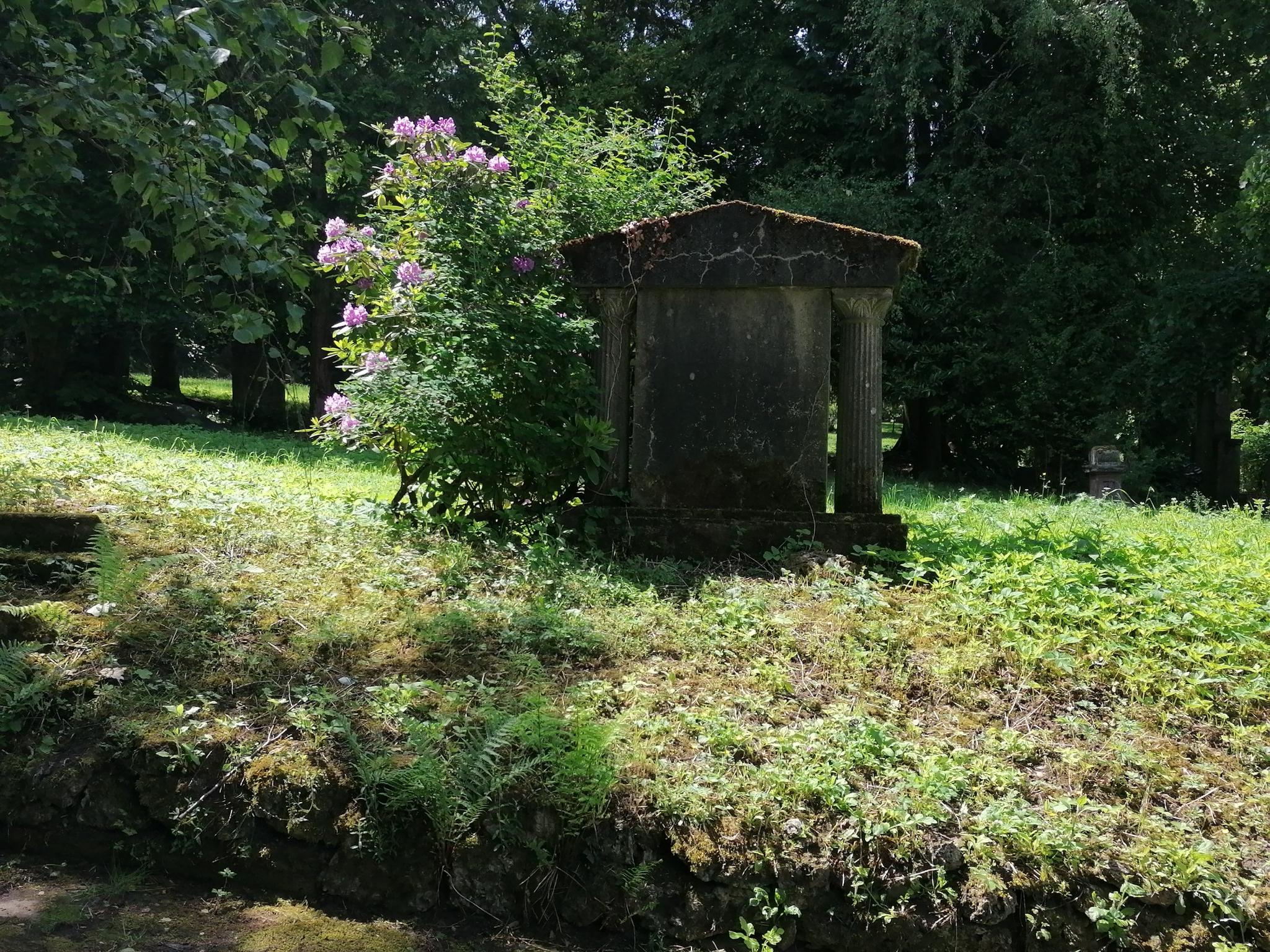 Friedhof Alt-Saarbrücken : Percorsi Escursionistici E Trekking | Komoot