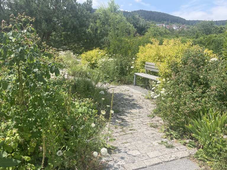 Ewiger Garten Erlbrunn Radtouren und Radwege komoot