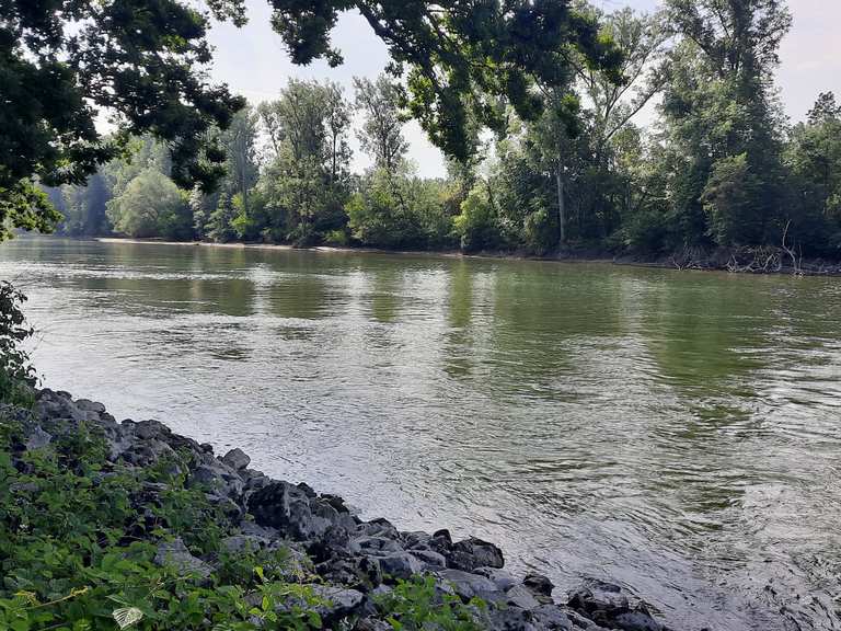 arbeitsagentur rhein neckar kreis