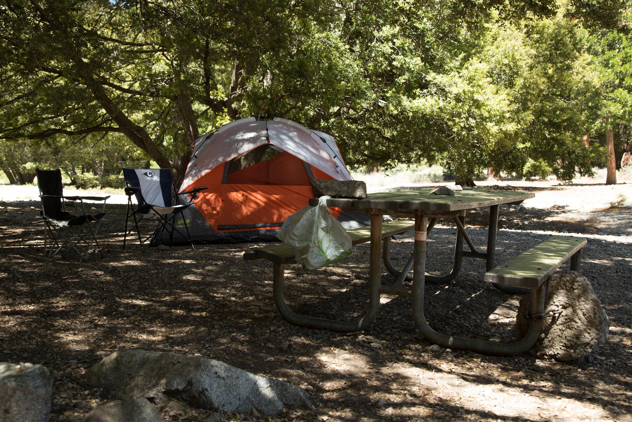 A shaded campsite with an orange tent and picnic table.