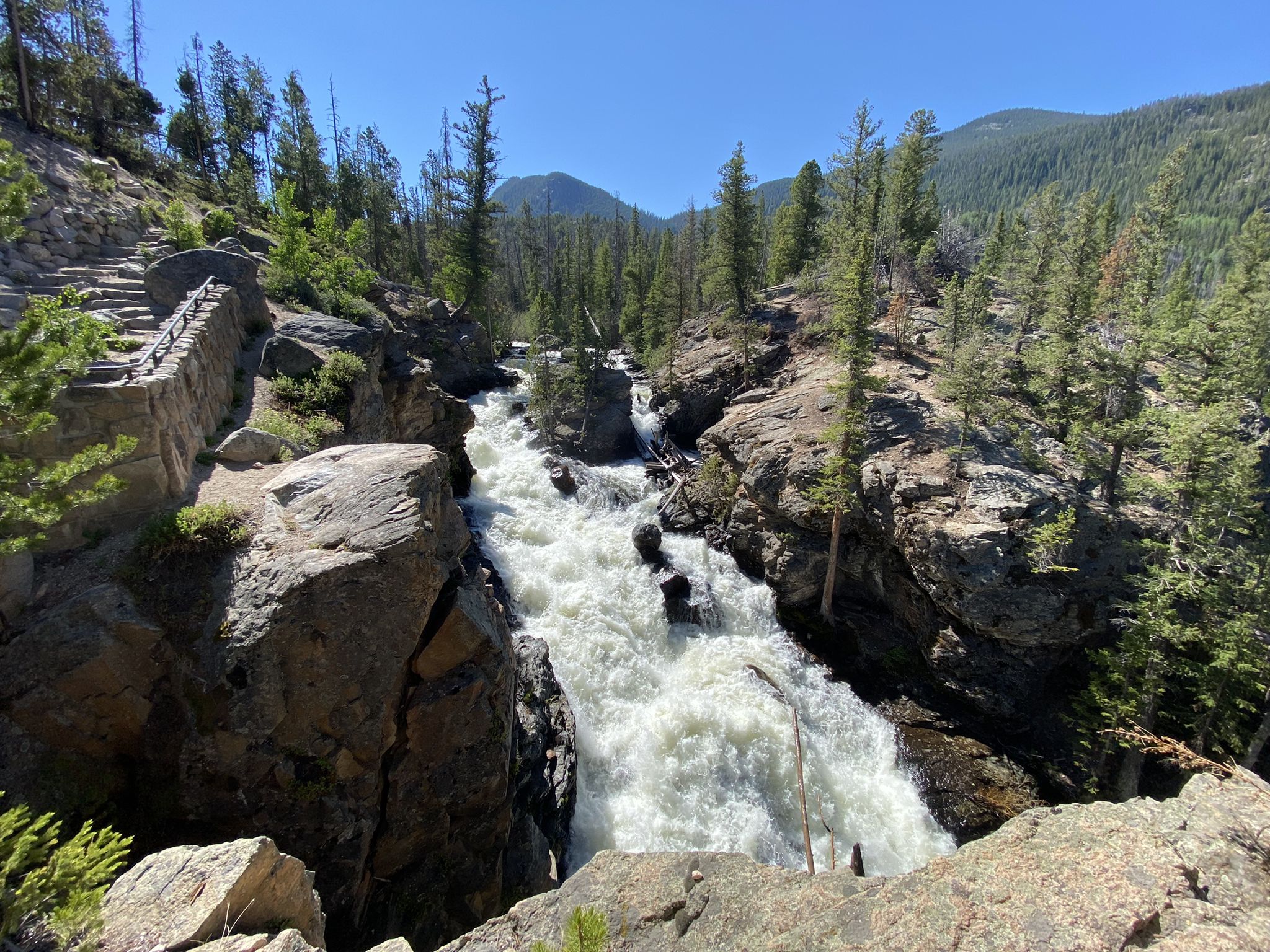 Rushing white water cascades through a rocky gorge surrounded by pine trees. - Lake Verna via East Inlet Trail
