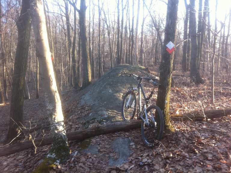 Jungle Habitat Trails Mountain Bike Trails & Tracks Komoot