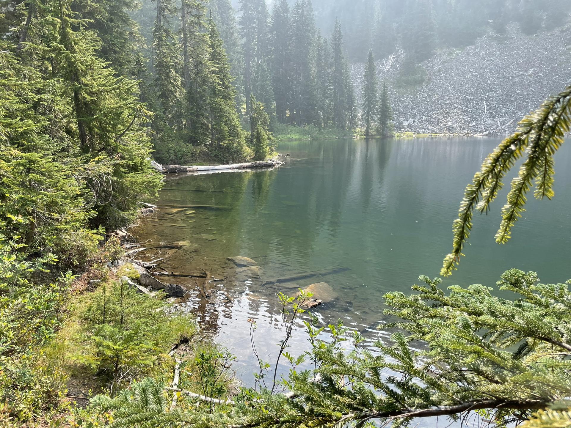 Misty mountain lake surrounded by dense pine forest and rocky shores.