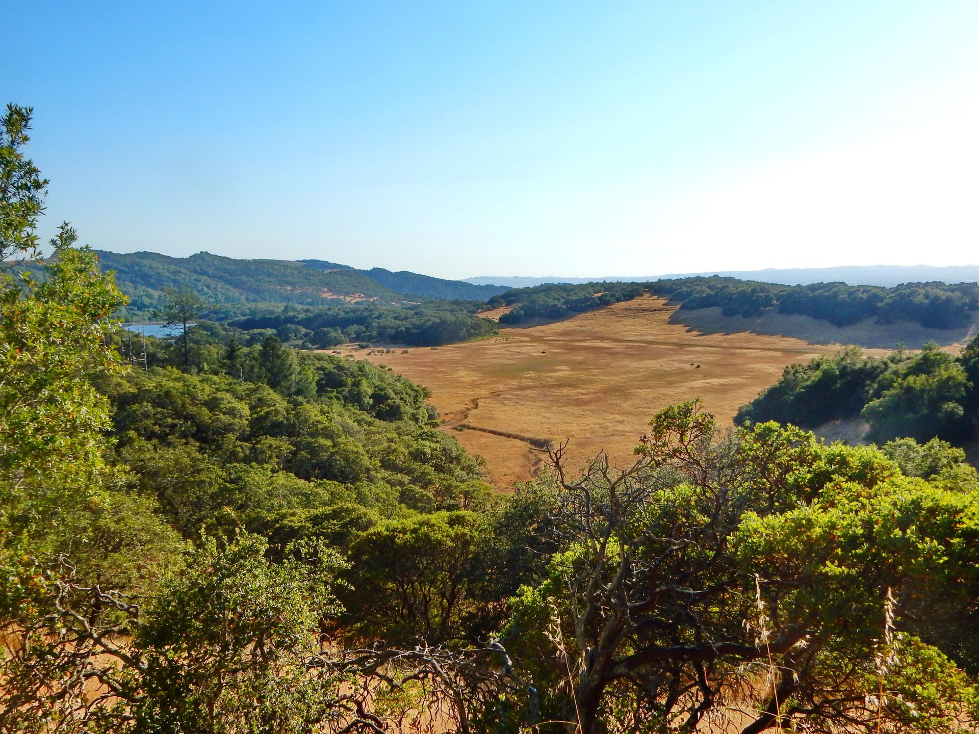 Panoramic view of a vast valley with green forests, golden fields, and distant hills.
