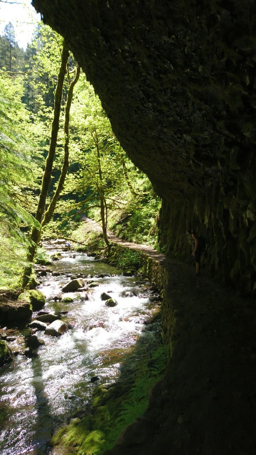 Sunlit stream flows beside a narrow path under a dark rock overhang.