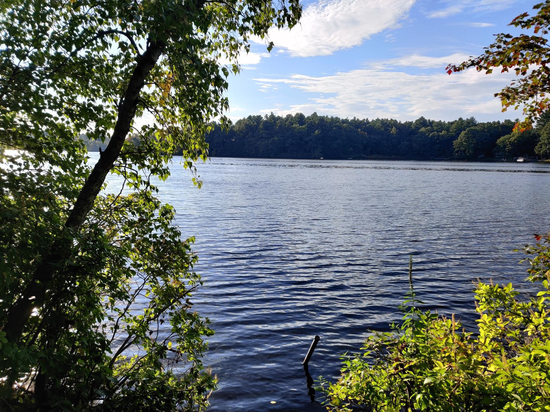 Sunny view of a wide lake framed by green trees, with a distant treeline.