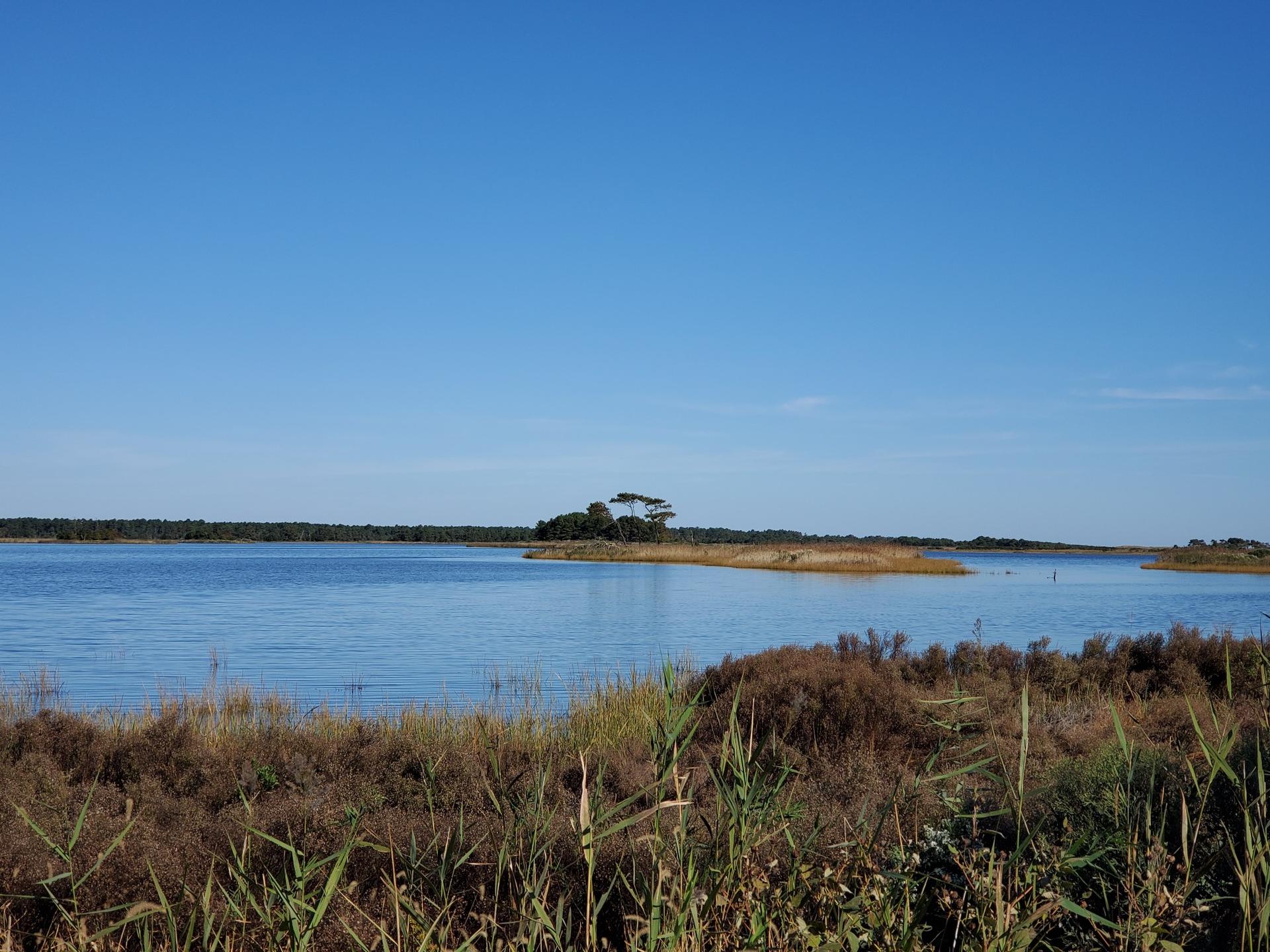 Sunny view of a wide blue lake with a distant tree-covered island.