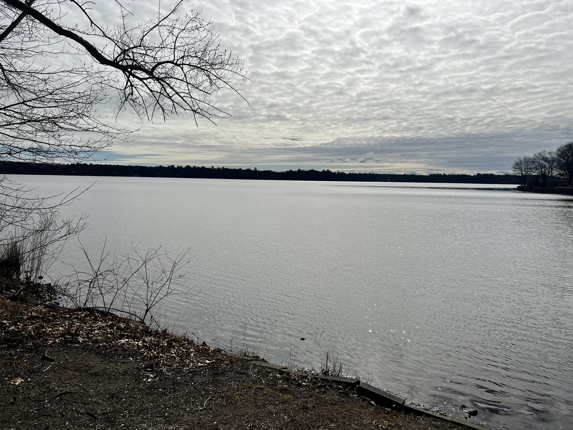 A wide lake under a cloudy sky, with bare trees on the shore.
