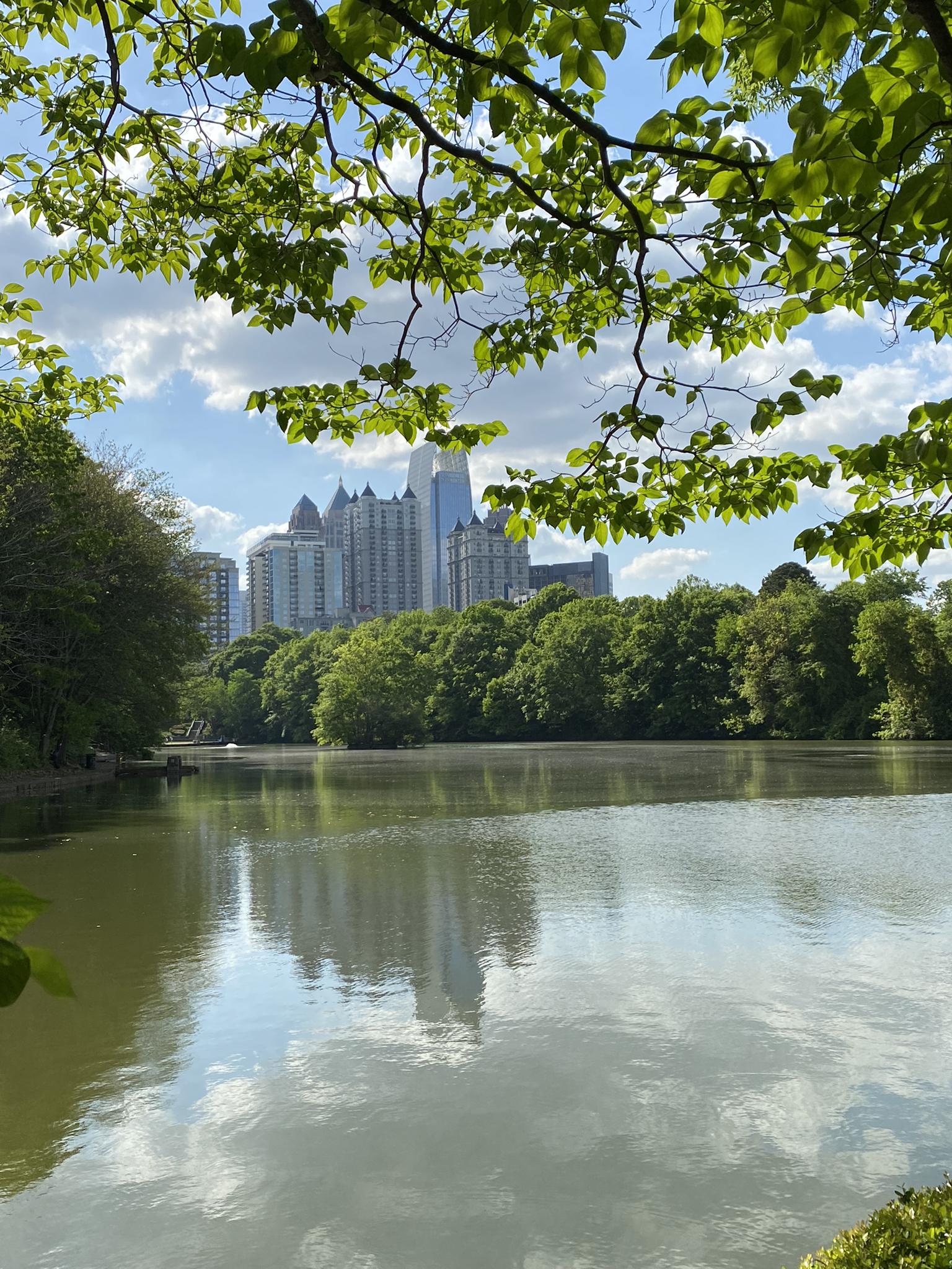 Sunny view of a lake reflecting city buildings, framed by green leaves.