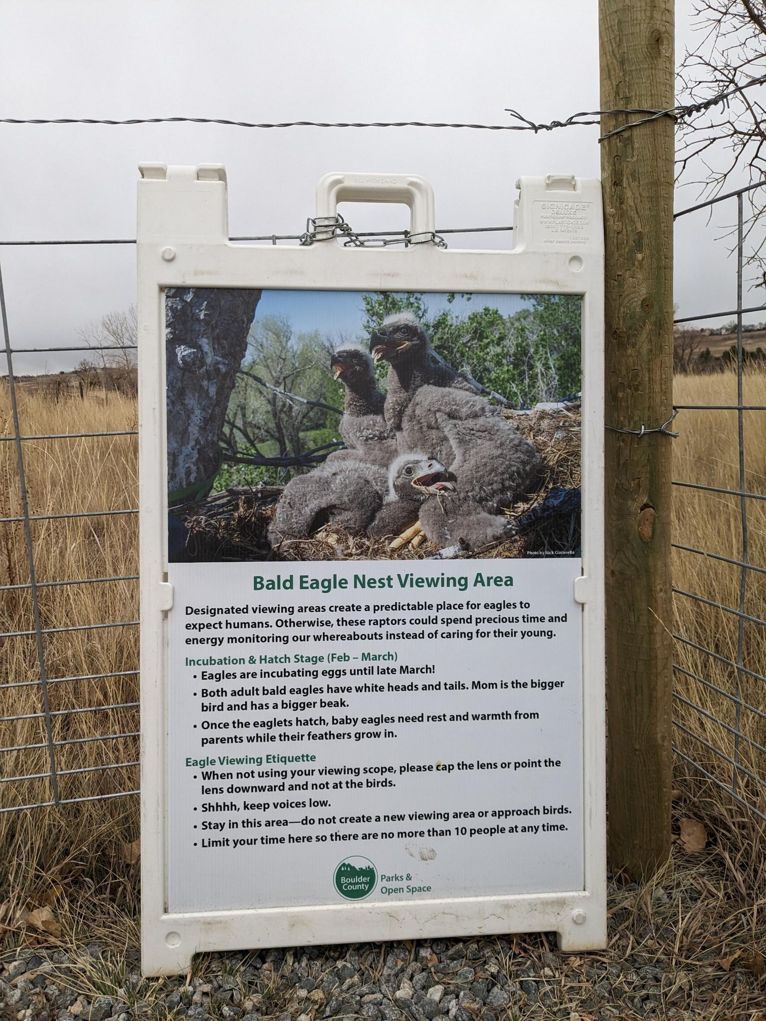 A white sign with text and an image of bald eagle chicks in a nest.