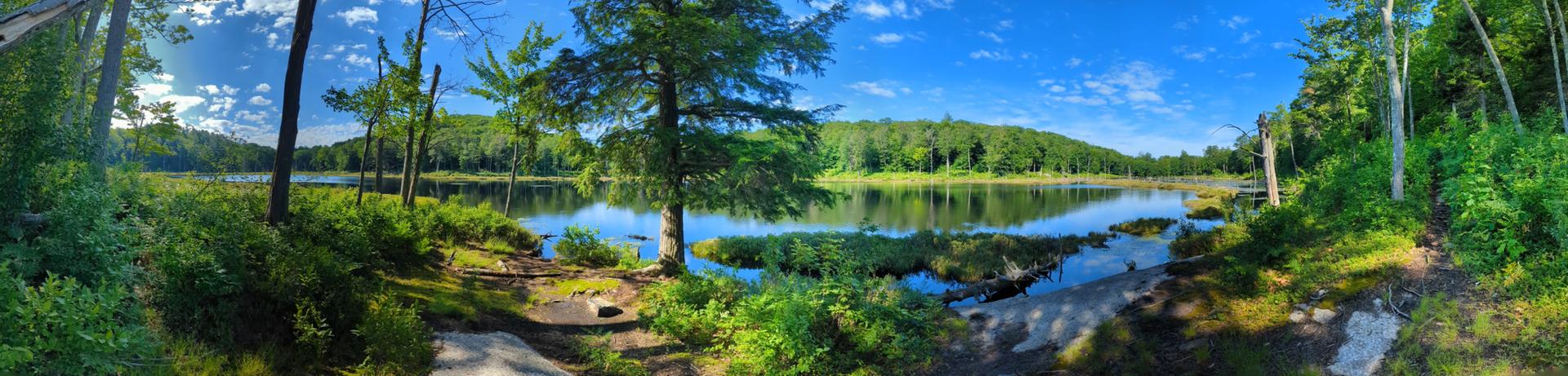 Panoramic view of a calm lake reflecting a bright blue sky and green forest.