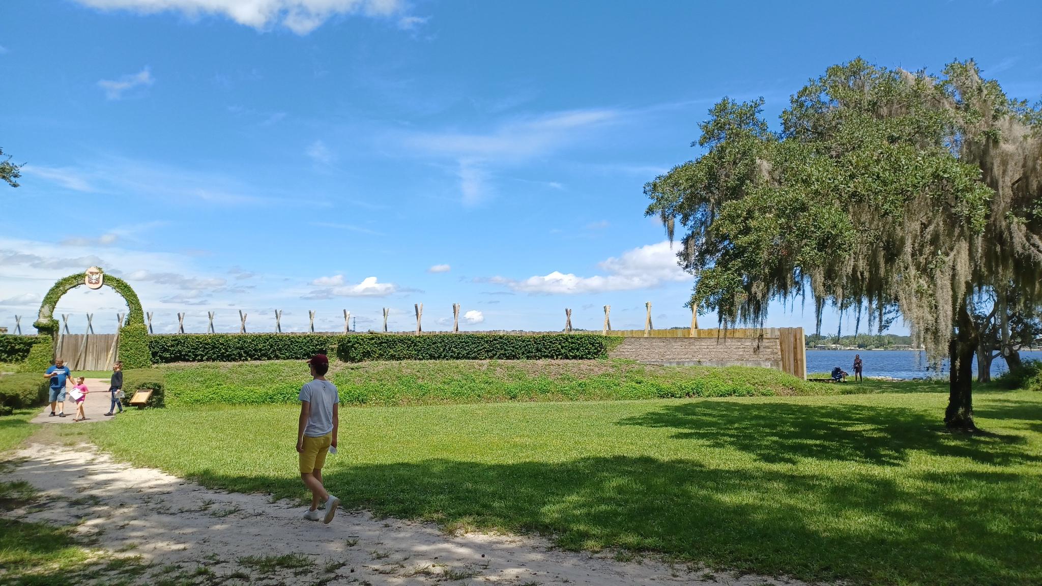 Person walking on a sunny green field next to water and a large tree.
