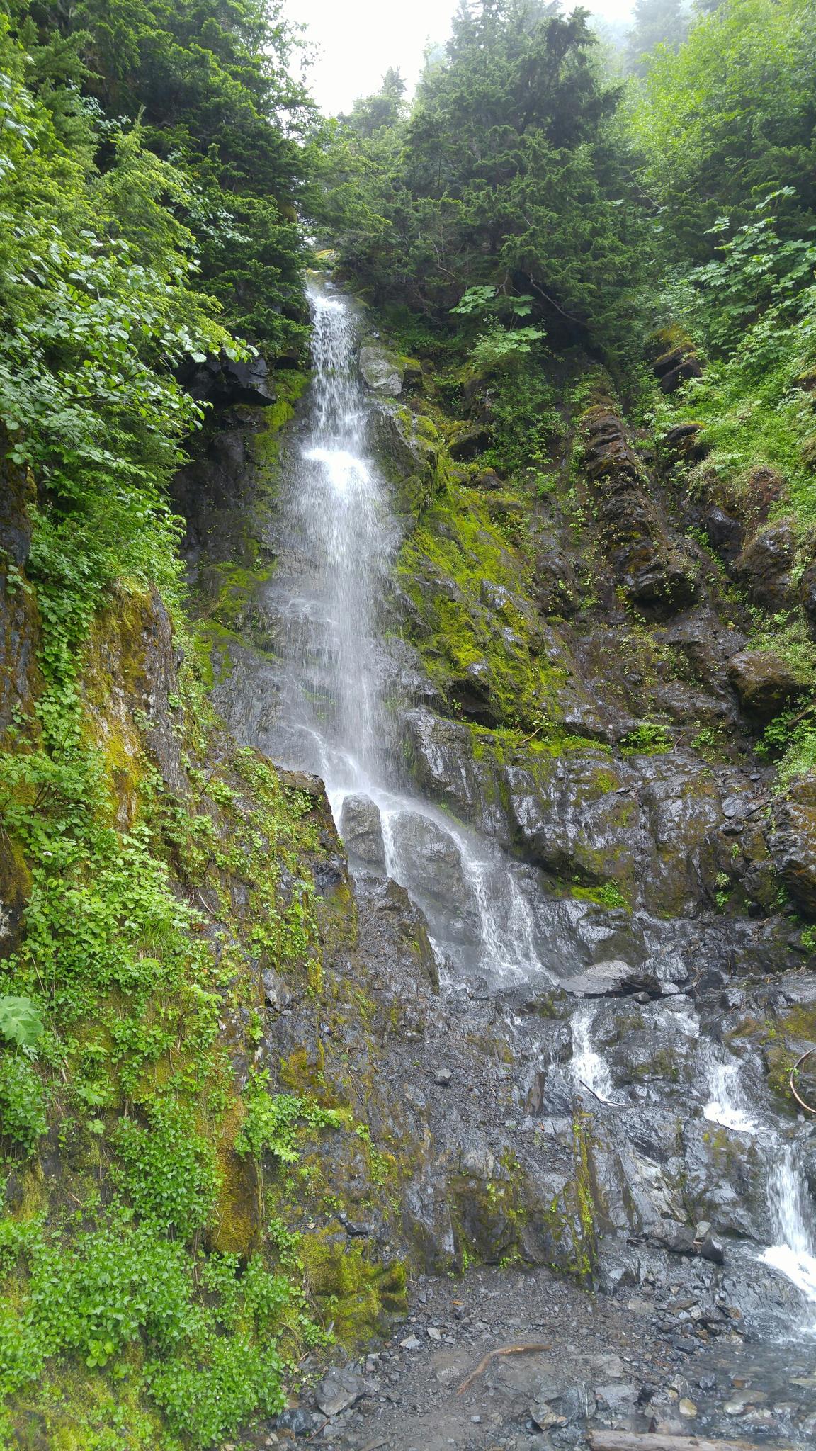 Waterfall plunges over a mossy rock face surrounded by lush green forest.