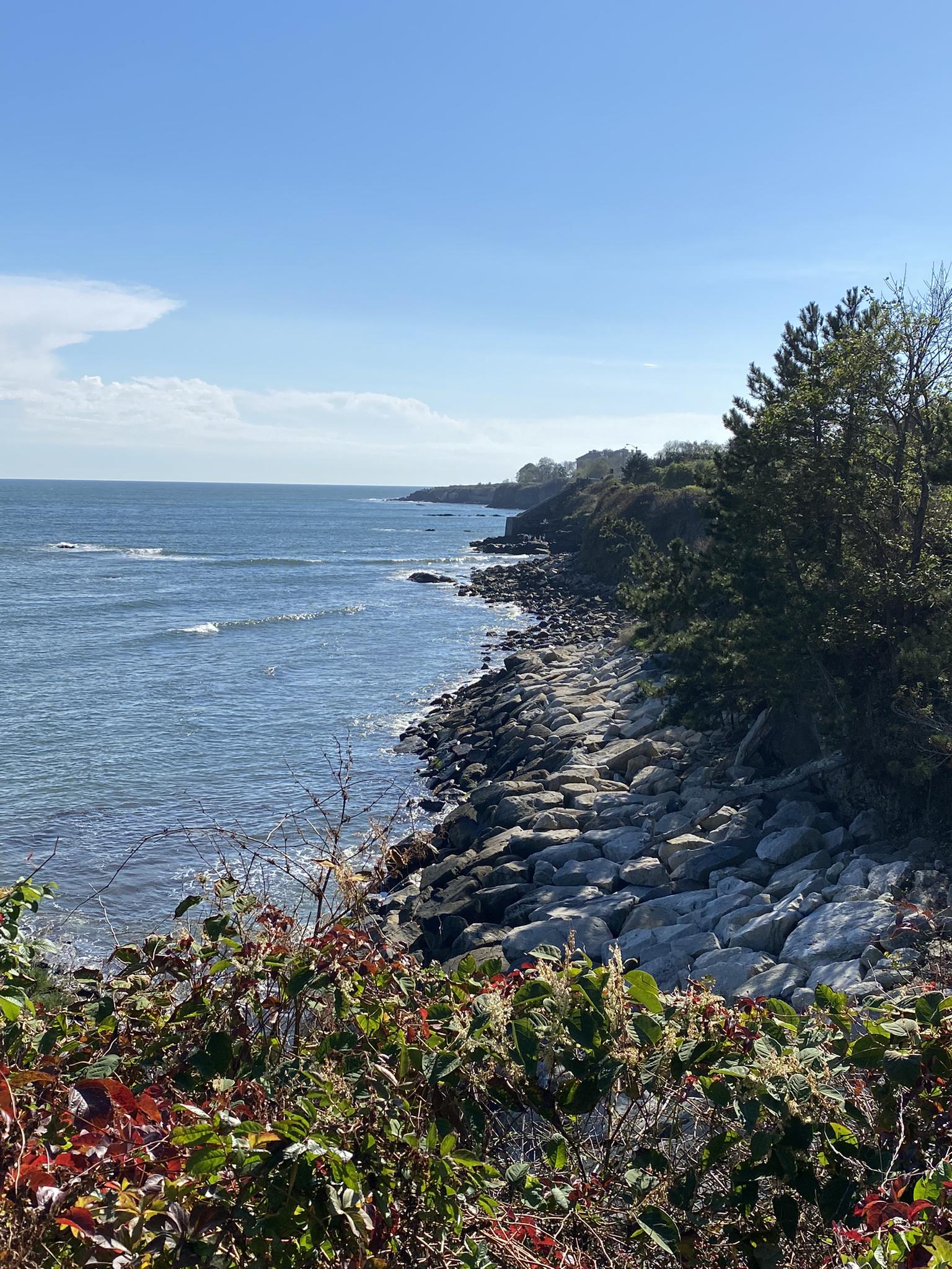 Sunny view of ocean waves crashing on a rocky shore with green foliage.