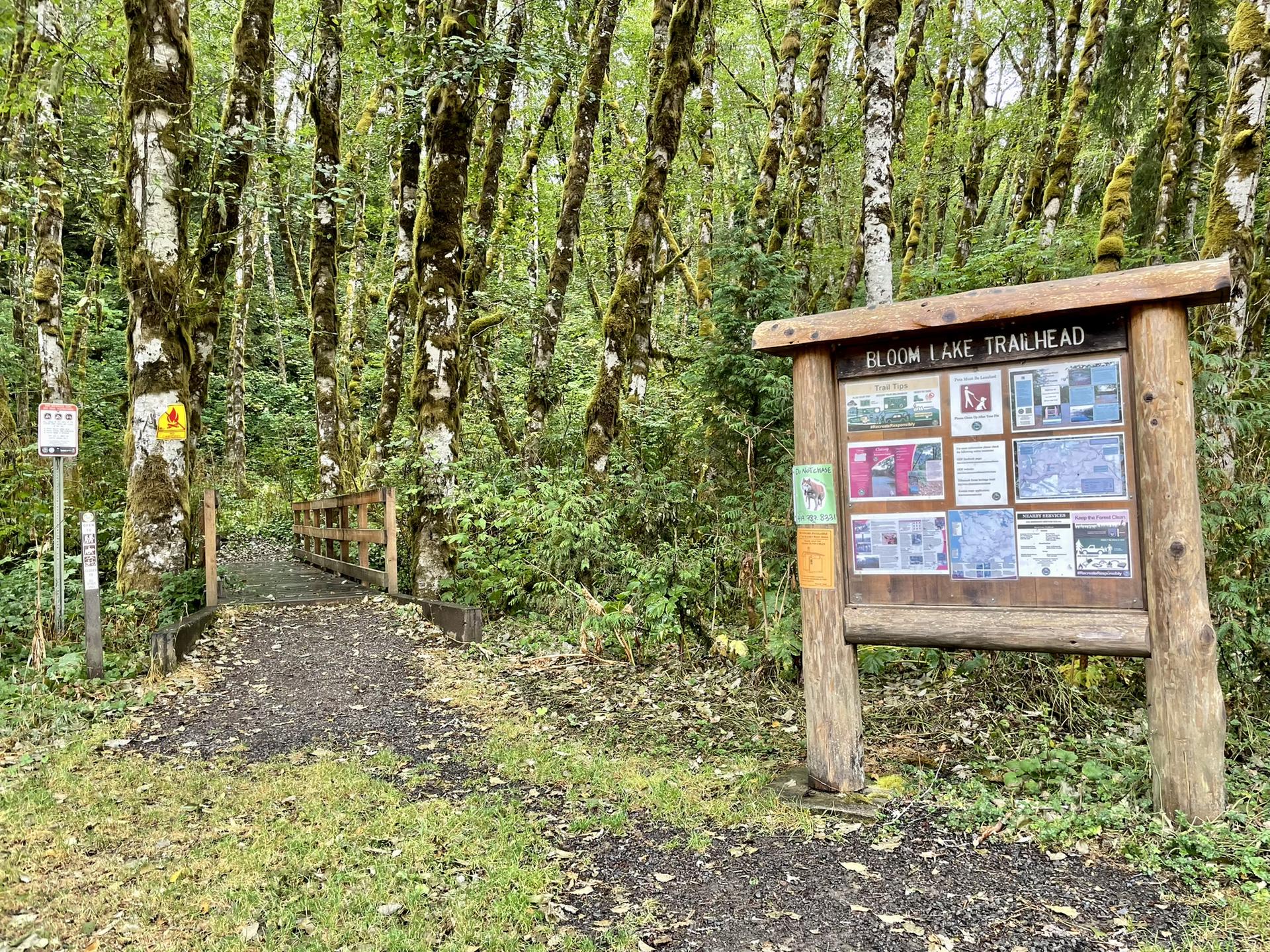 Wooden trailhead sign beside a dirt path entering a dense, mossy forest.