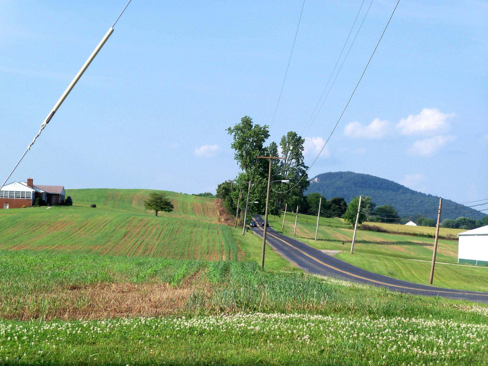 A rural road winds through green fields with power lines under a clear sky.