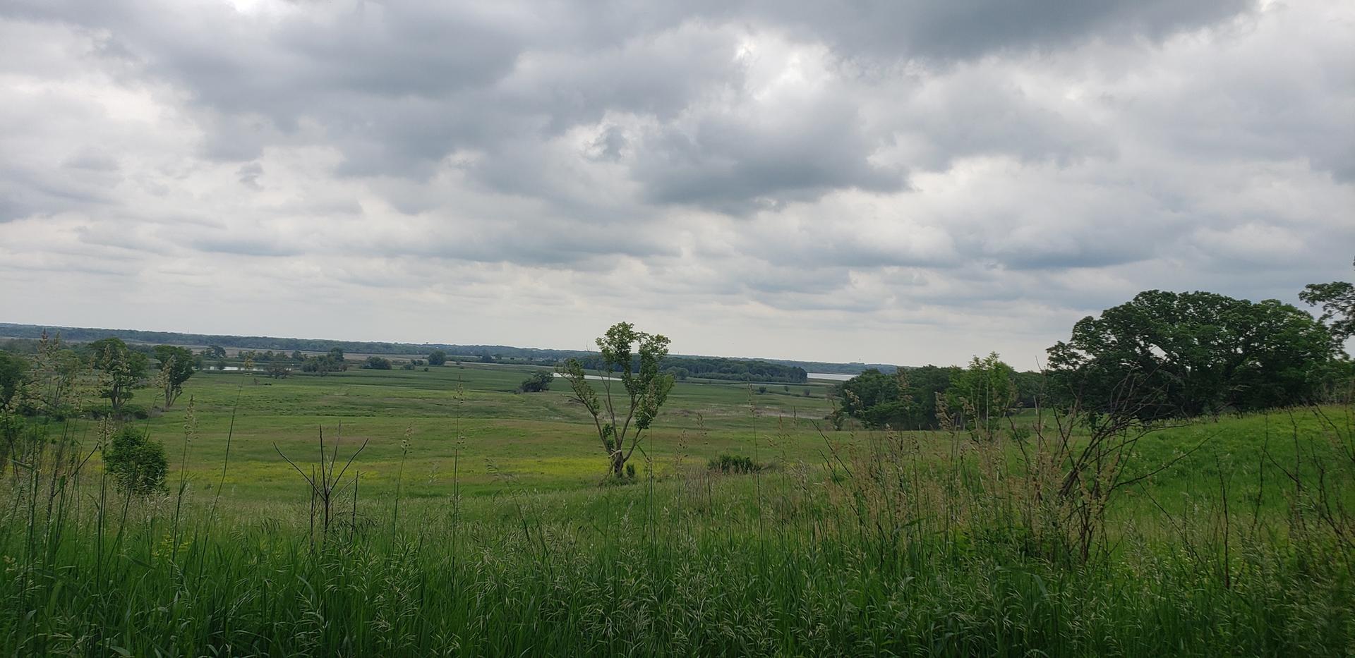 Vast green prairie under an overcast sky, with distant trees and water.