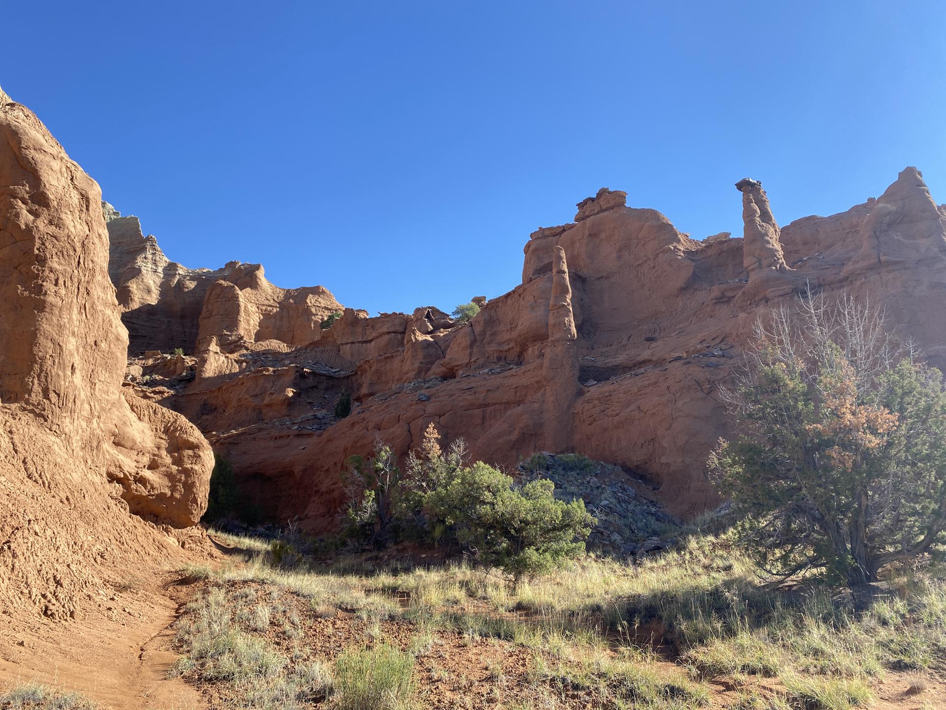 Narrow canyon with tall red rock walls and scattered green trees.