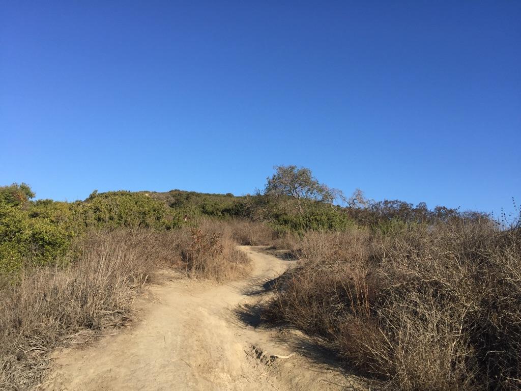 A winding dirt path leads through dry, brown brush under a clear blue sky.