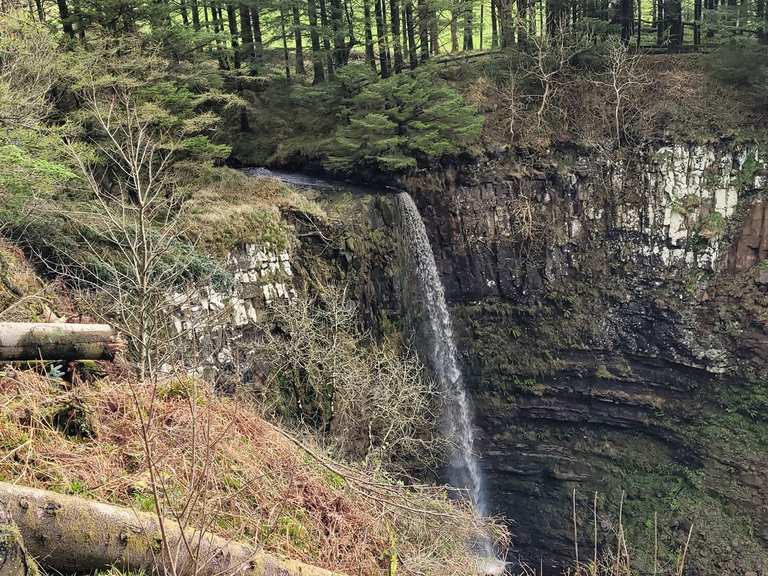 Hidden Woodland Library, Isle of Arran – Hiking & Cycling Routes | Komoot