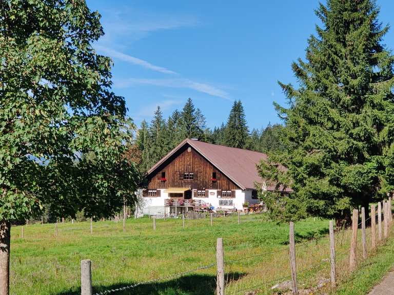 aibele-alp-mountainbike-touren-und-trails-komoot