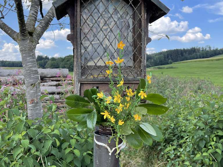Schloß Maxhofen Wanderungen und Rundwege komoot