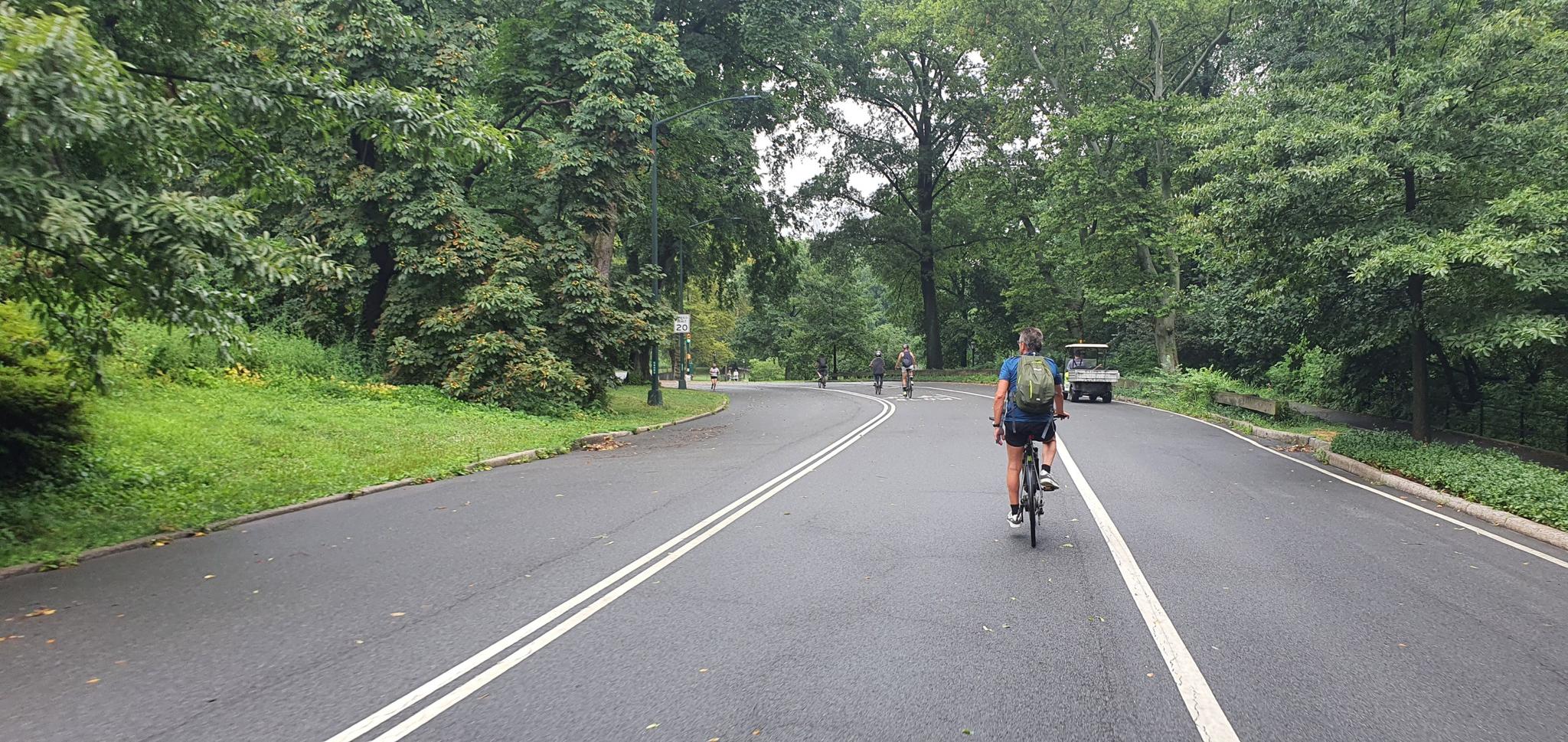 Cyclist on a paved road through a lush green park on an overcast day.