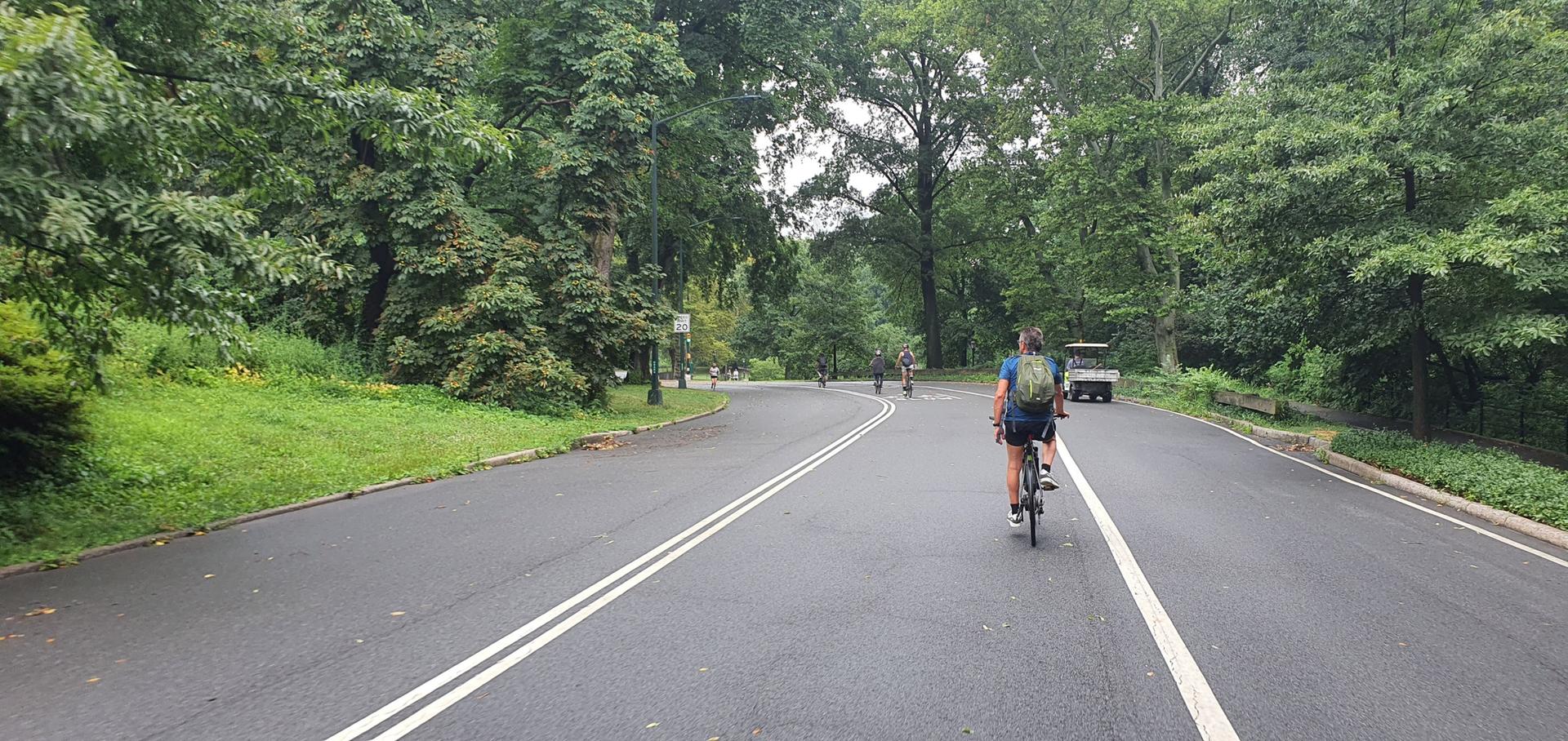 Cyclist on a paved road through a lush green park on an overcast day.
