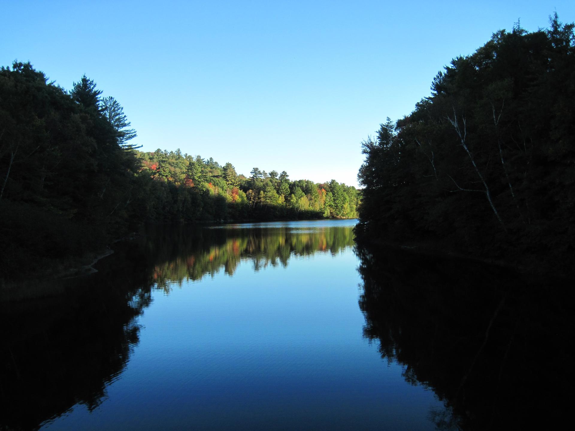 Serene water reflecting dark green forest under a clear blue sky.