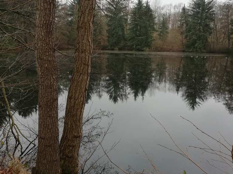 Entenpfuhl Radtouren und Radwege komoot