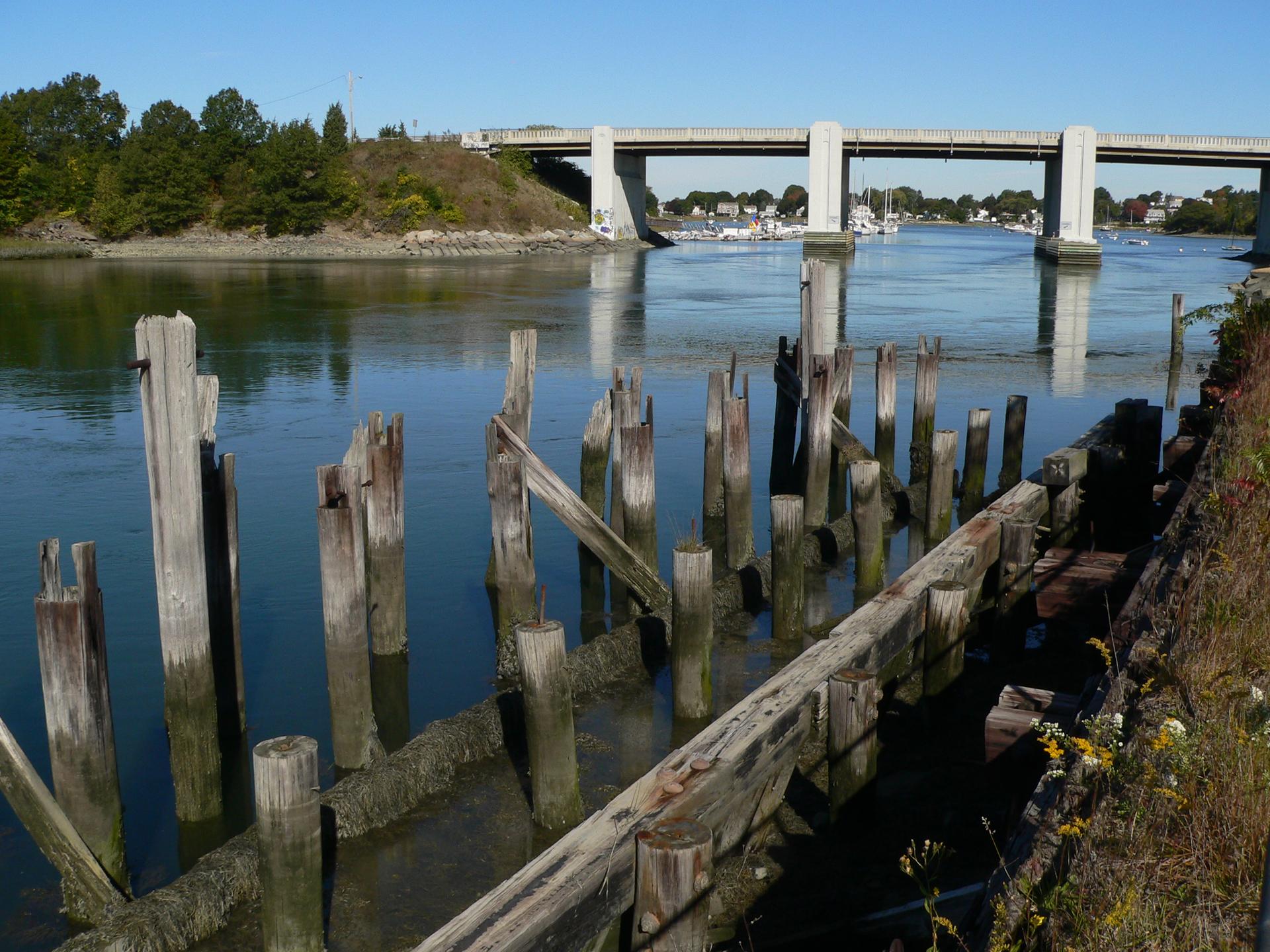 Weathered wooden pilings in a river with a large bridge in the distance.