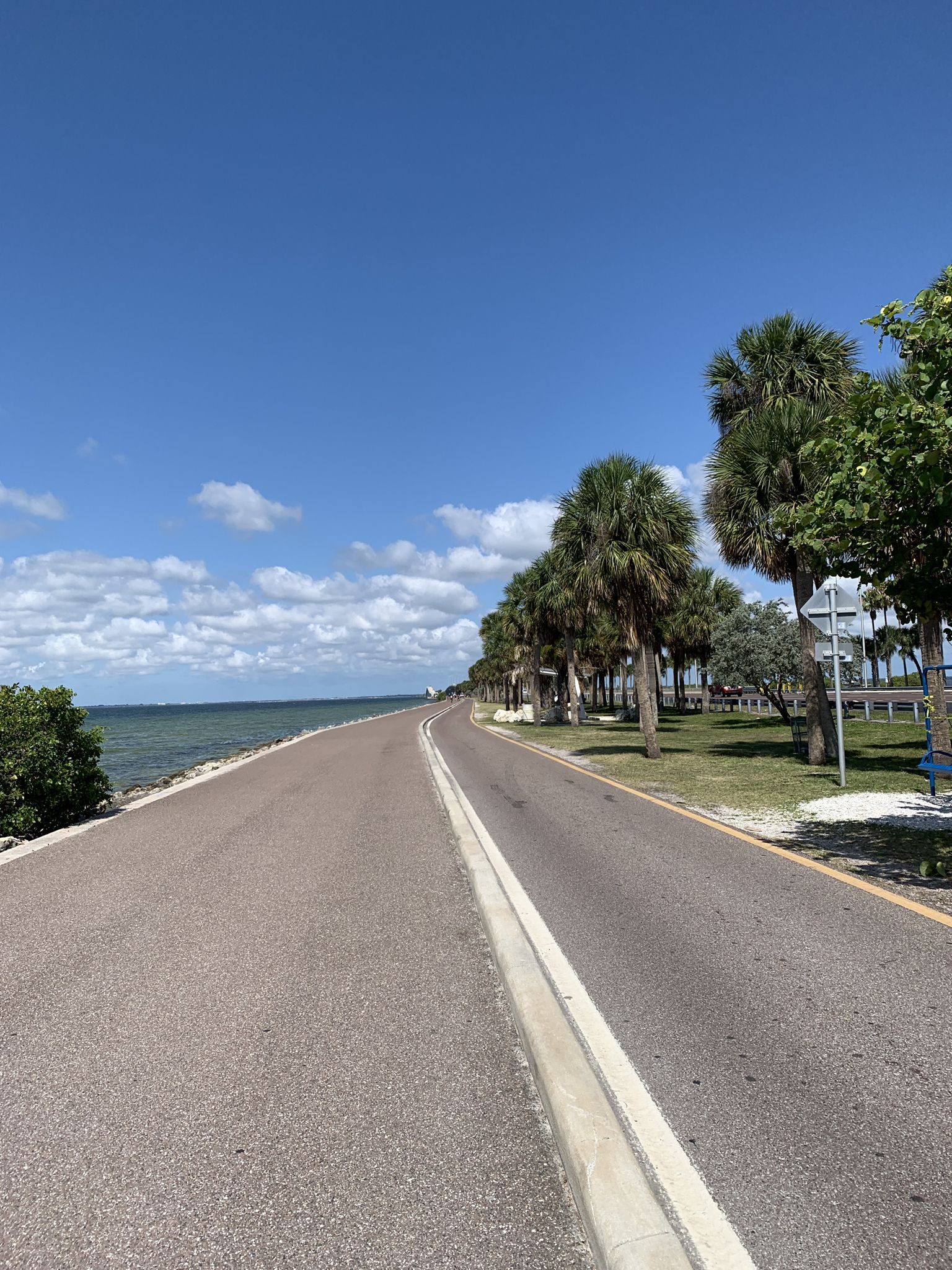 Paved road alongside the ocean, lined with palm trees under a blue sky. - Courtney Campbell Trail