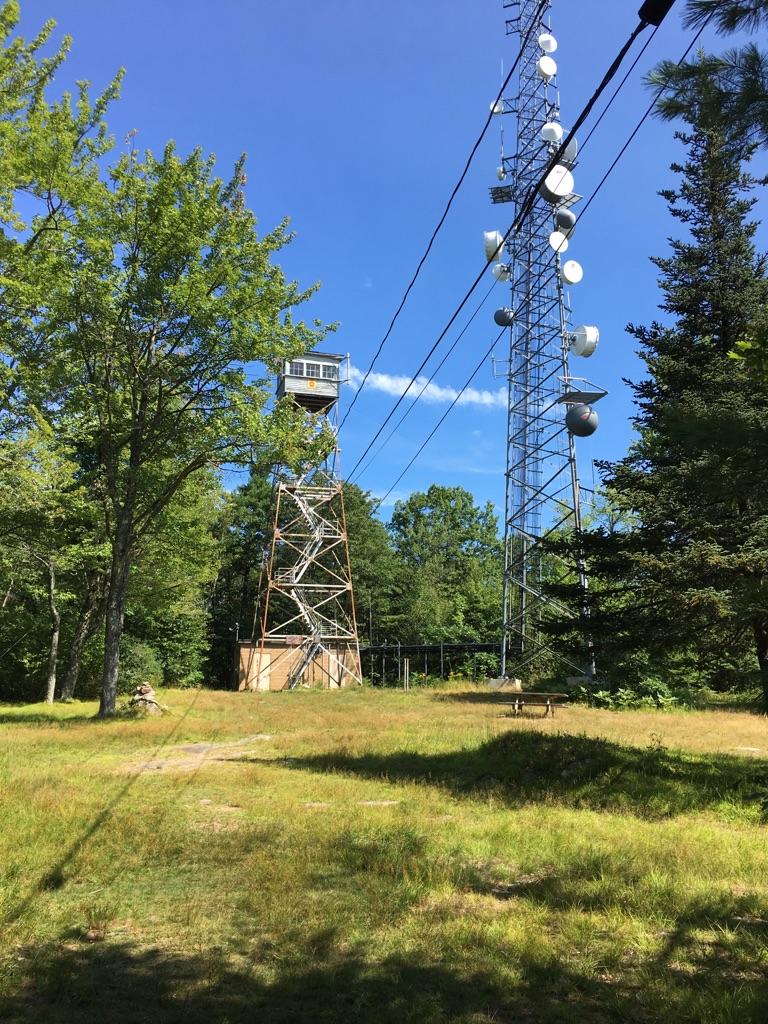 Two communication towers in a grassy clearing surrounded by green trees.