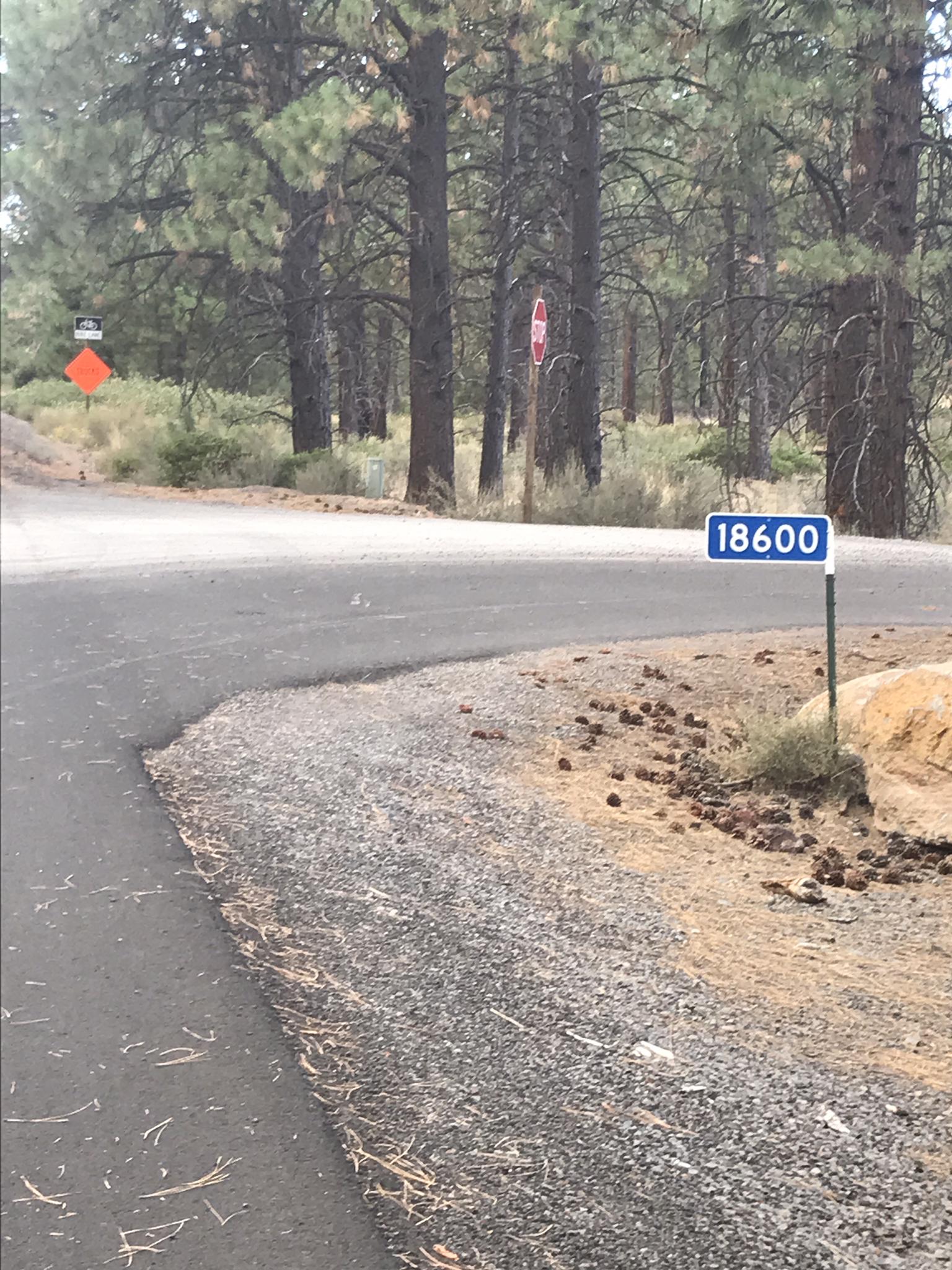 A paved road curves through a pine forest with a house number sign.