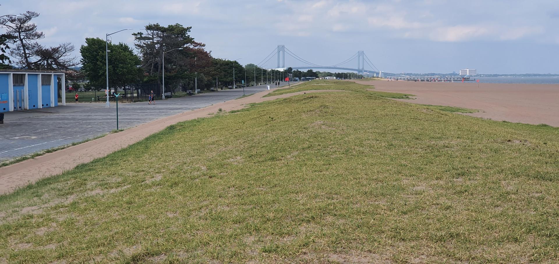 A grassy embankment slopes to a sandy beach with a distant bridge.