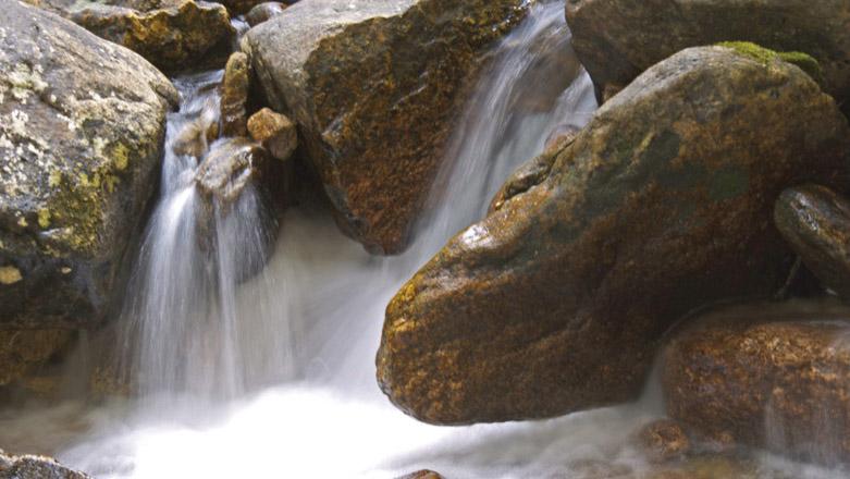 Water cascades over mossy rocks in a natural stream, with soft lighting.