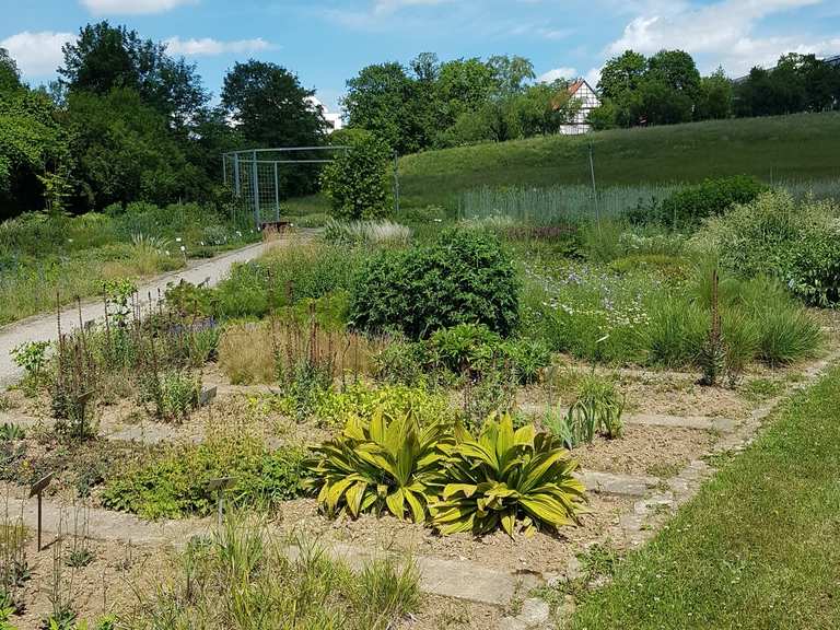 Neuer Botanischer Garten (Experimenteller Botanischer Garten) in