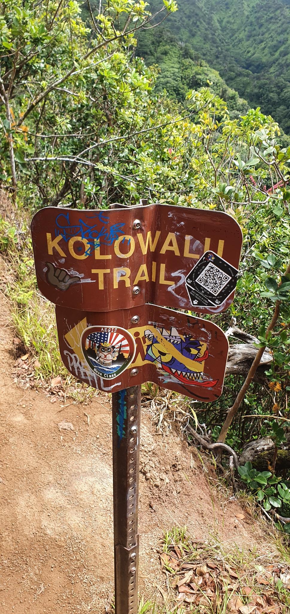 Weathered brown trail sign with stickers on a dirt path in a green forest.