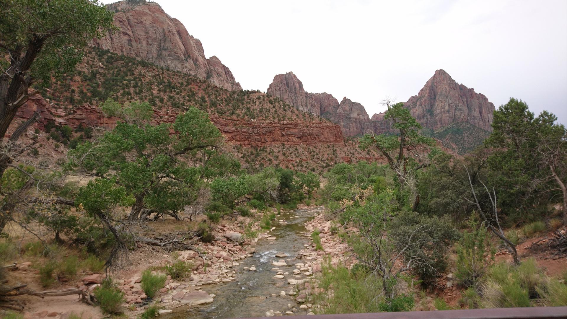 A rocky stream winds through a valley with red cliffs and green trees.