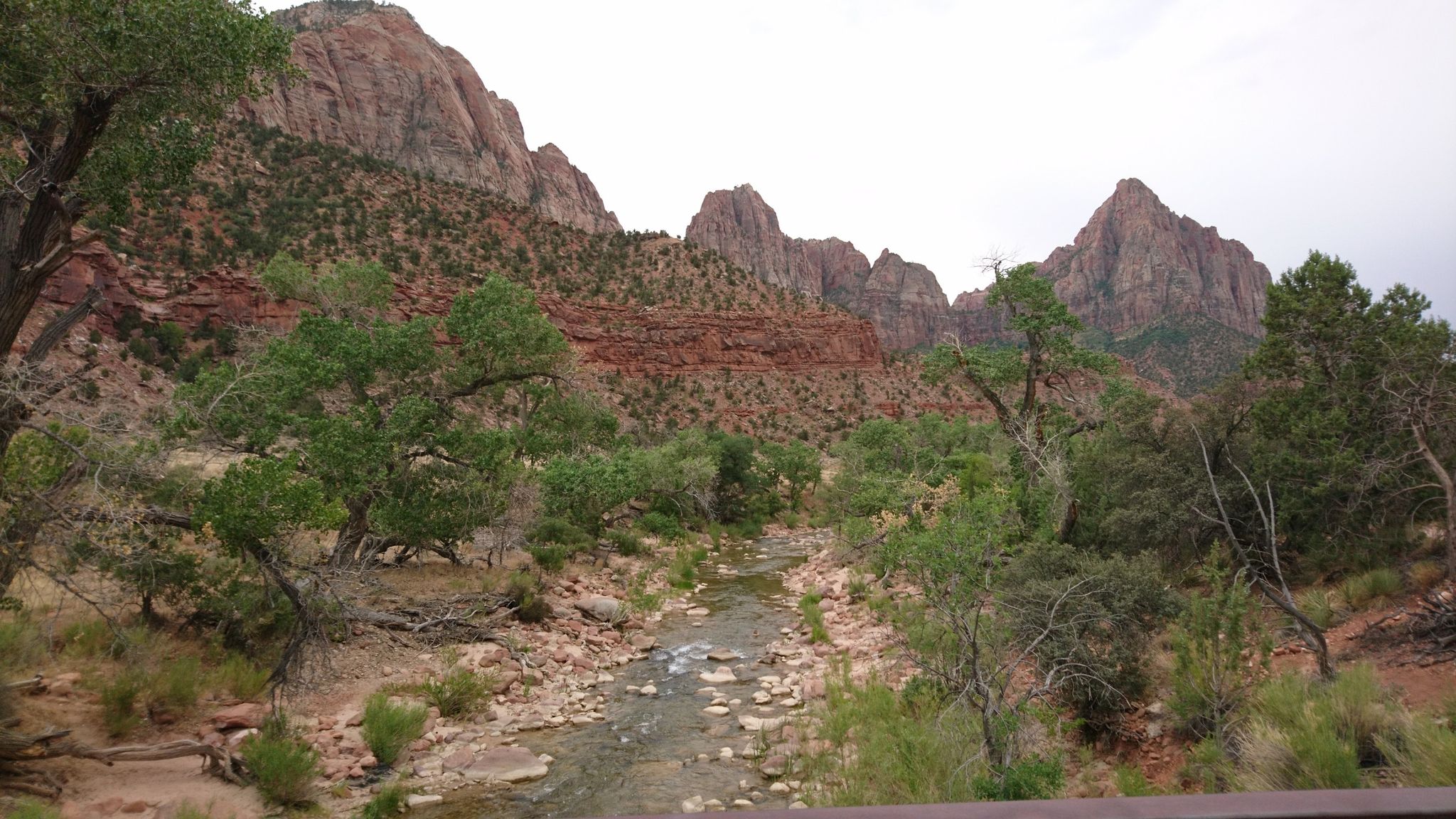 A rocky stream winds through a valley with red cliffs and green trees. - Hurricane, Utah to Zion National Park