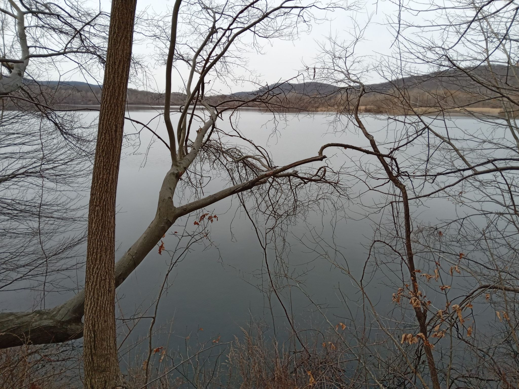 Calm water framed by bare trees under an overcast sky with distant hills. - Highlands Trail – Tilcon Lake loop from Waterloo