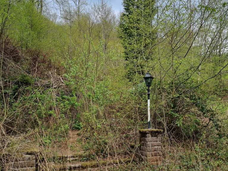 LostPlace Kurhotel am Wiesenbeker Teich Wanderungen und Rundwege komoot