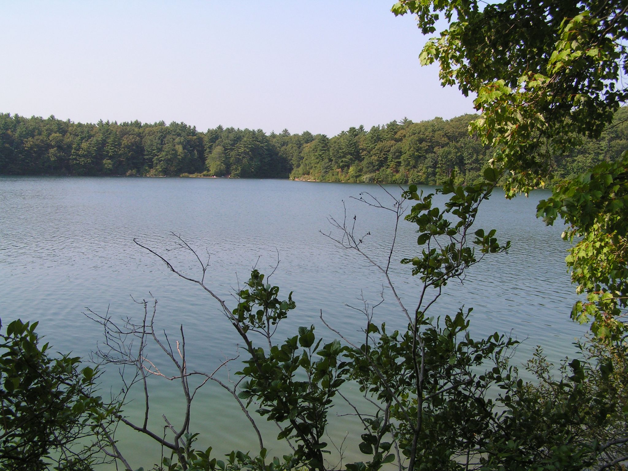Calm lake surrounded by lush green forest under a bright sky. - Lynn Woods Reservation North Loop (long) – Lynn Woods Reservation