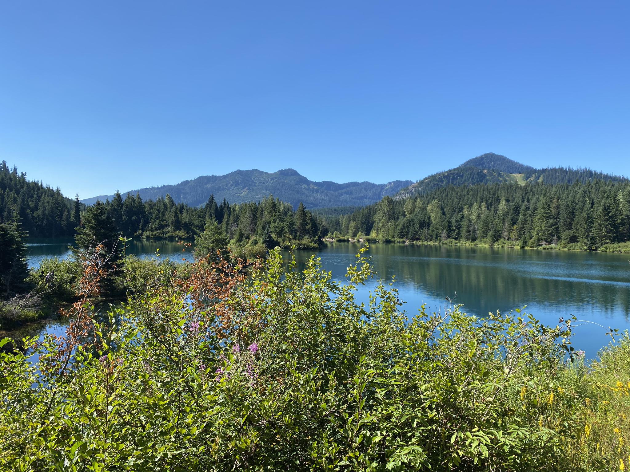 Calm lake surrounded by dense green forest and mountains under a clear blue sky.