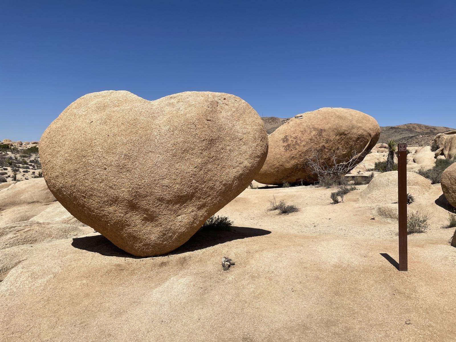 A large heart-shaped rock sits on a sandy desert floor under bright sun.