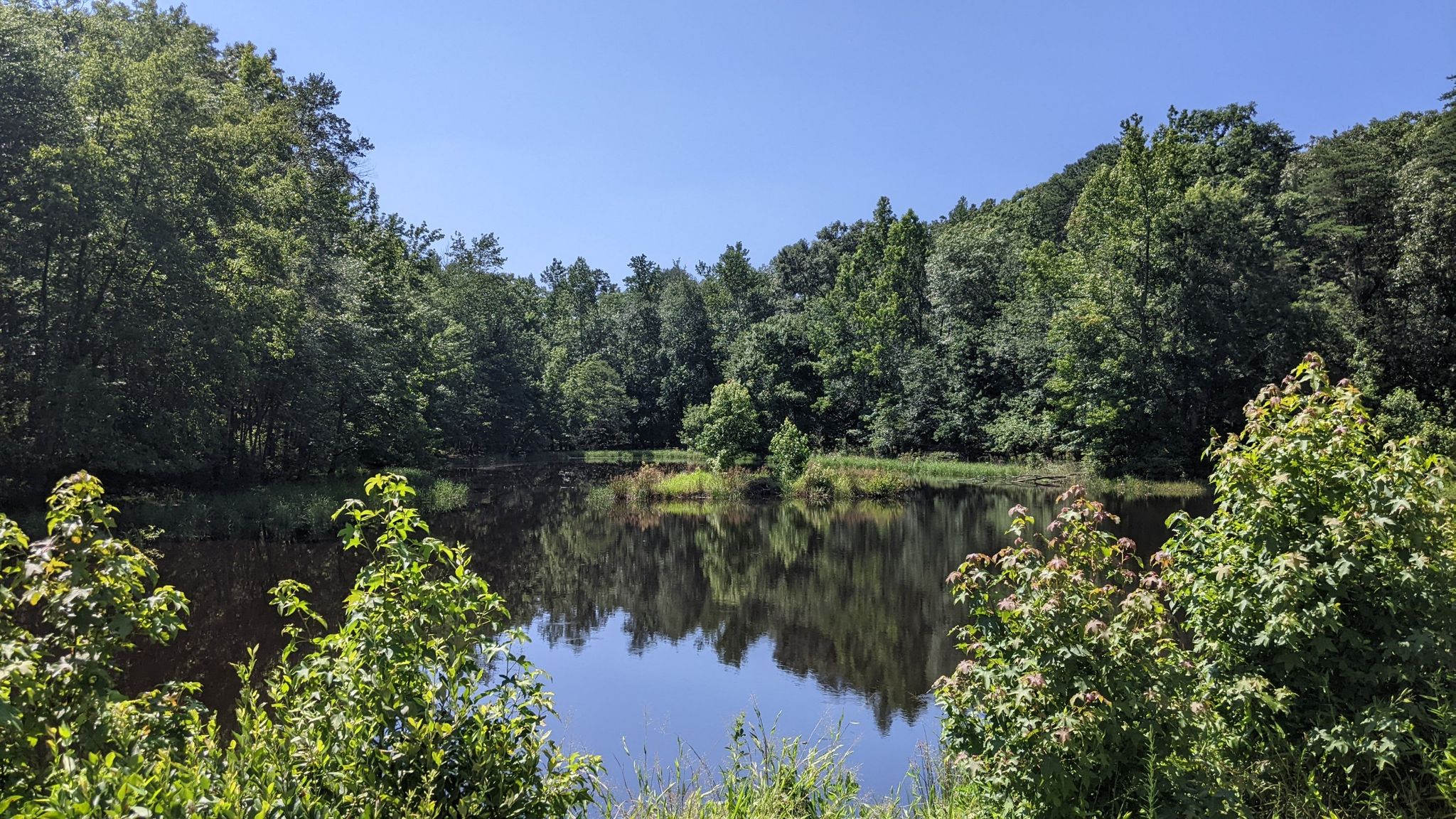 Calm lake reflecting green trees under a clear blue sky. - Cash Lake Loop Trail