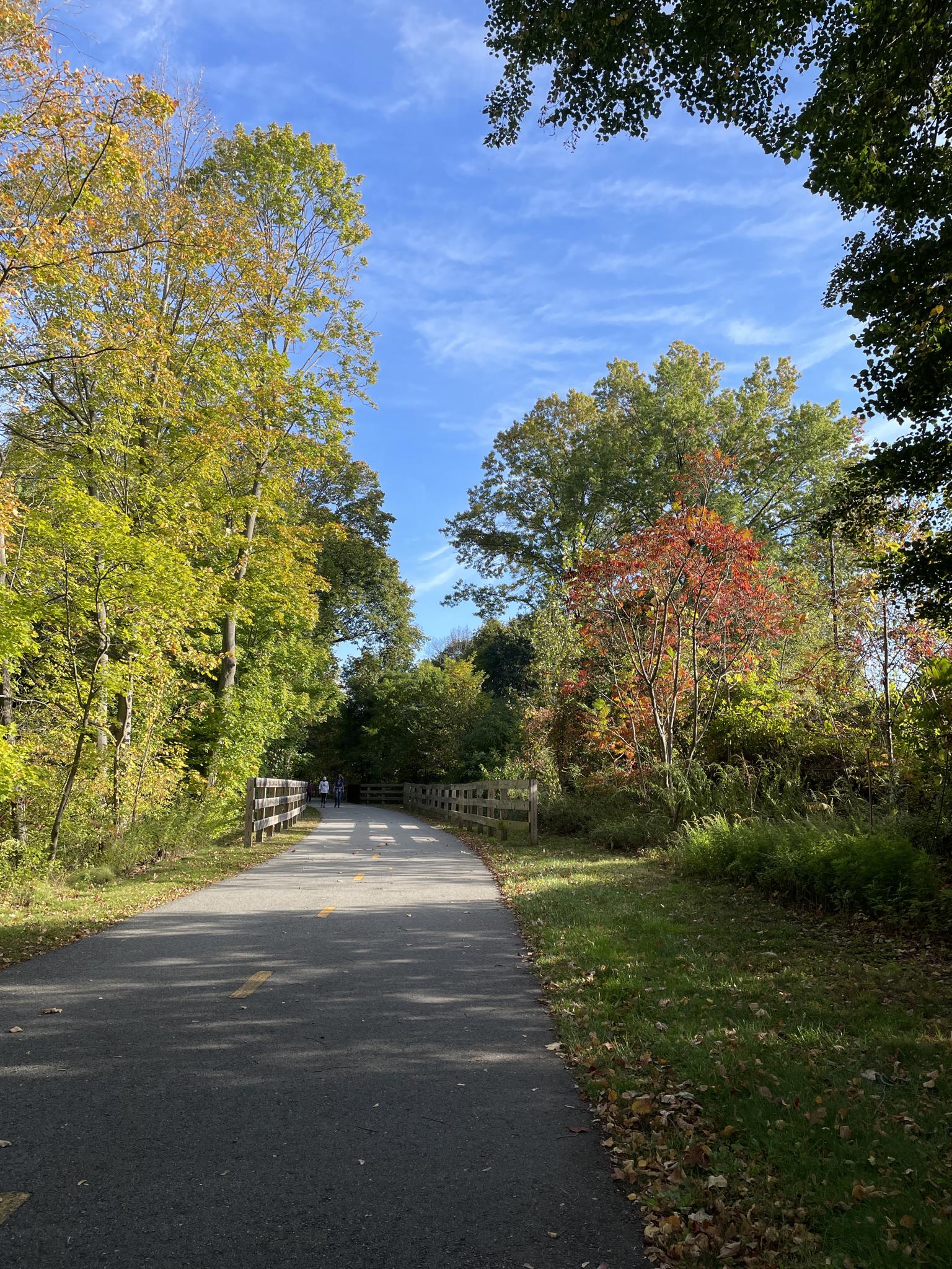 Paved path winding through vibrant autumn trees under a bright blue sky.